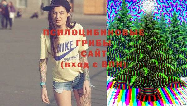 спиды Белокуриха