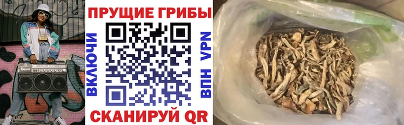 дарнет шоп  Калуга  Галлюциногенные грибы мицелий 